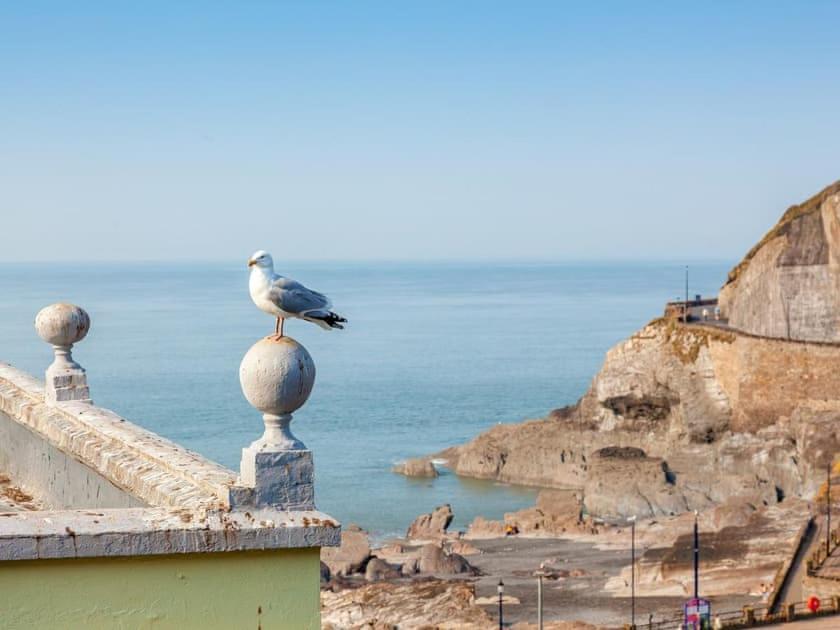 2Thevilla - Great Views, 3 Bedrooms, Parking, Central Location Ilfracombe Zewnętrze zdjęcie